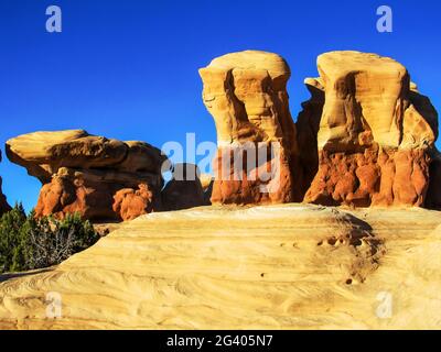 Un gruppo di coloratissimi hoodoo in arenaria nel Devil's Garden, Escalante, Utah, USA, alla luce dorata del sole del pomeriggio Foto Stock