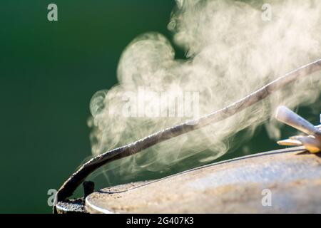 Cucinare nella natura. Foto Stock