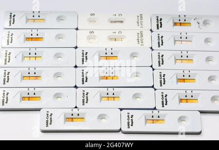 Raccolta dei risultati positivi e negativi del test SARS-COV-2 Rapid Antigen AG effettuato mediante tampone nasale, test positivo e negativo del virus corona Covid-19 Foto Stock