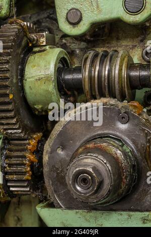 ingranaggi a vite senza fine su una macchina storica Foto Stock