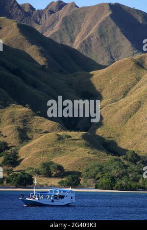 INDONESIA. ISOLE NUSA TENGARRA. ISOLA DI KOMODO. CROCIERA DI LUSSO SILOLONA Foto Stock