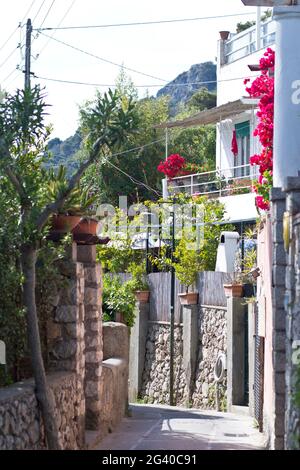 Piccola strada con bougainville sulla strada per Arco Naturale a Capri, Italia Foto Stock