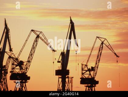 Fila di gru industriali che si stagliano sul molo al tramonto, Porto di Pola, Croazia, Mare Adriatico. N. 998 EURO Foto Stock