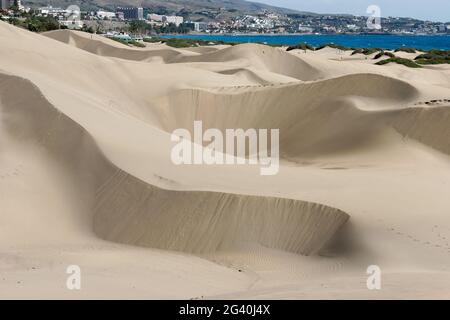 MASPALOMAS, GRAN CANARIA/Isole CANARIE - FEBBRAIO 18 : una vista sulle dune di sabbia nei pressi di Maspalomas Gran Canaria il 18 febbraio 20 Foto Stock