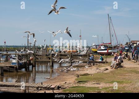 Persone che godono di patatine di pesce a Southwold Foto Stock