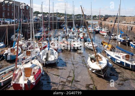 Porto affollato a North Berwick Foto Stock