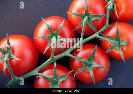 Close-up di alcuni pomodori maturi sulla vite Foto Stock