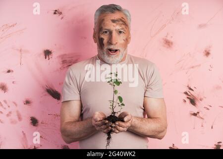 Stupito, uomo anziano, giardiniere che tiene una pianta per piantare su uno sfondo di pareti sporche e rosa. Un agricoltore sorridente è impegnato nel giardinaggio. Foto Stock