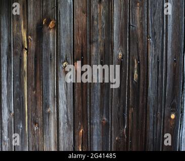 Tessitura di legno. Superficie in legno sfondo grigio. Banner astratto con spazio Foto Stock