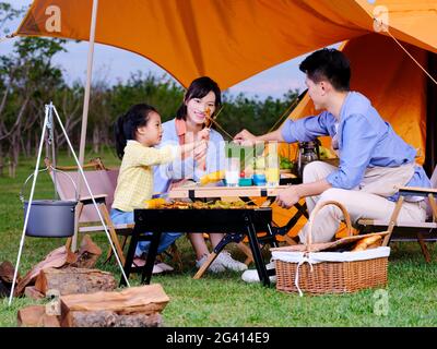 Una famiglia felice di tre persone che hanno barbecue nel parco foto di alta qualità Foto Stock