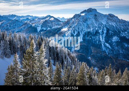 La foresta invernale coperta di neve a Tegelberg, sulle montagne Ammer, Schwangau, Allgäu, Baviera, Germania Foto Stock