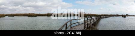 Panorama di un lungo molo in legno e passerella in zone umide di acque salmastre con erba esparta e laguna sotto un cielo sovrastato Foto Stock