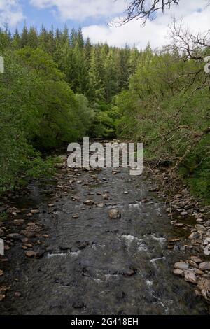 Vista delle Cascate del Ponte del Diavolo (Pontarfynach), e la posizione del fiume del thriller televisivo Hinterland, vicino Aberystwyth, Ceredigion, Galles, Regno Unito Foto Stock