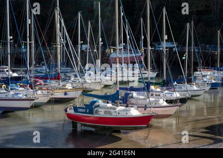 Vista di Ilfracombe Harbour Foto Stock