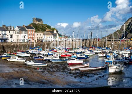 Vista di Ilfracombe Harbour Foto Stock