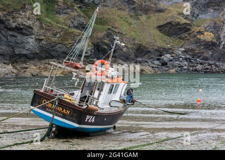 Barca da pesca in Port Isaac Cornovaglia Foto Stock