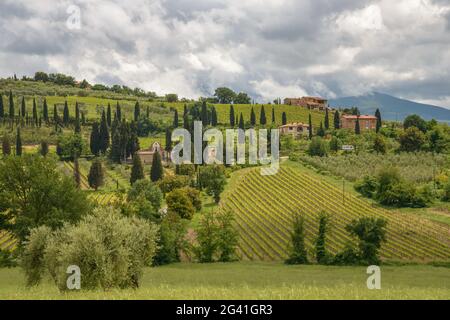 Campagna nei dintorni di Sant Antimo Abbey in Montalcino Toscana Foto Stock