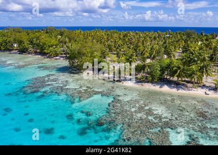 Vista aerea delle persone che si rilassano sulla spiaggia con piantagioni di cocco dietro di loro, l'Isola di Avatoru, l'Atollo di Rangiroa, le Isole Tuamotu, Polinesesi Francese Foto Stock