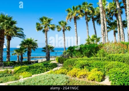 Sunrise Beach paesaggio sulla costa mediterranea dell'isola di Cipro con un bellissimo parco, palme e piante tropicali Foto Stock