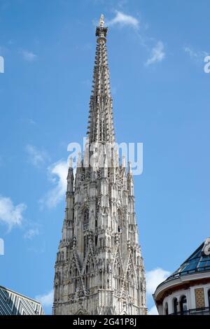 La cattedrale di Santo Stefano a Vienna Foto Stock