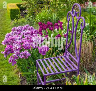 A colorful spring tulip garden Foto Stock