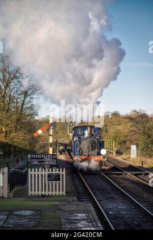 Bluebell treno a vapore a Sheffield Park Station Foto Stock