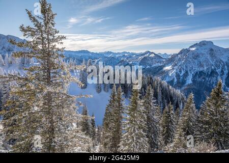 La foresta invernale coperta di neve a Tegelberg, sulle montagne Ammer, Schwangau, Allgäu, Baviera, Germania Foto Stock