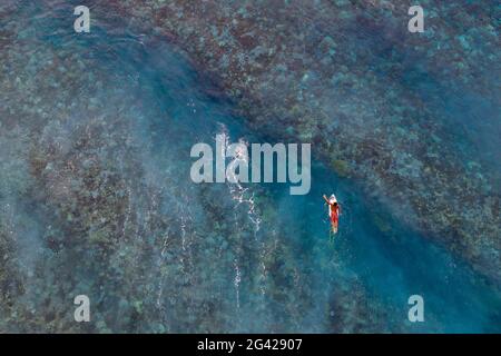 Vista aerea dei surfisti in attesa di onde sulla barriera corallina, Nuuroa, Tahiti, Isole Windward, Polinesia francese, Sud Pacifico Foto Stock