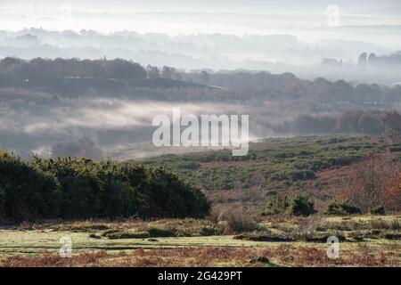 Foschia mattutina nel Ashdown Forest Foto Stock