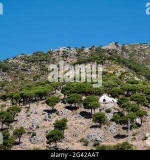 MIJAS, Andalusia/Spagna - 3 Luglio : cappella sulla collina vicino a Mijas in AndalucÃ-a Spagna il 3 Luglio 2017 Foto Stock