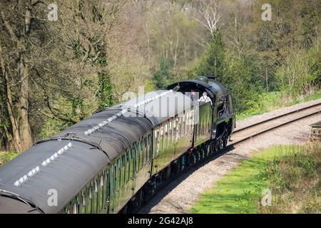 Treno a vapore su The Bluebell linea ferroviaria in Sussex Foto Stock