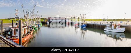 Barche da pesca nel porto, taglienti da pesca, Dornumersiel ladro, Panorama, Dornumersiel, Frisia orientale, bassa Sassonia, Germania Foto Stock