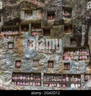 Le tombe rupestri e le gallerie con Tau Tau di Lemo sono una delle principali attrazioni di Tana Toraja Foto Stock