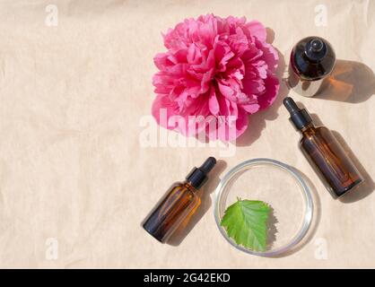 Estratto di Peony. Olio essenziale fiore di Peony. Bottiglie di vetro con siero su fondo beige. Prodotti cosmetici Foto Stock