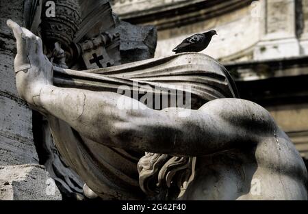 ITALIA, LAZIO, ROMA, FONTANA IN PIAZZA NAVONA Foto Stock