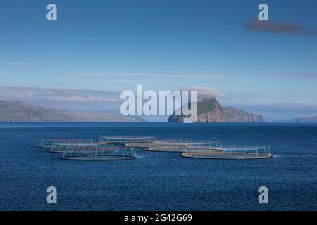 Fattoria di pesce al largo dell'isola di Koltur al sole, Isole Faroe Foto Stock