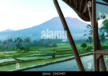 Vista da una terrazza di bambù, attraverso verdi risaie, del vulcano attivo, il Monte Agung, a Bali. Foto Stock