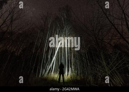 Silhouette uomo di notte con cielo stellato nella foresta di betulla, Germania, Brandeburgo, Spreewald Foto Stock