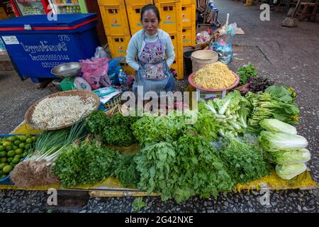 Donna vende frutta e verdura al mercato mattutino, Luang Prabang, provincia di Luang Prabang, Laos, Asia Foto Stock