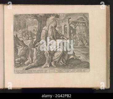 L'evangelista Lucas scrive il Vangelo; i quattro evangelisti; Thesaurus Novi Testamenti Elegantissimis Iconibus Expressus Continens Historias atque Miracula doni nostri Iesu Christi. L'evangelista Lucas si trova sul retro di un toro alato, il suo attributo. Sul suo colpo un libro spesso, una molla di scrittura nella mano destra. Sullo sfondo il culto dei pastori nella stalla; sul retro a sinistra delle tre croci sul Monte Golgota, con Maria e Johannes sotto la croce. Sotto la mostra un testo a due zampe in latino. Questa stampa fa parte di un album. Foto Stock