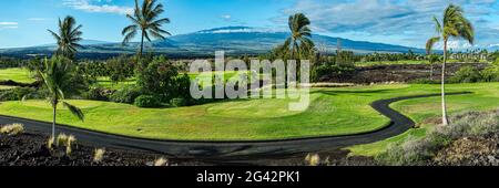 Paesaggio di campo da golf con palme, Waikoloa Beach, Hawaii Islands, Stati Uniti Foto Stock