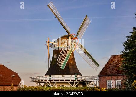 Seriemer mulino al sole serale, mulino a vento, tramonto, Neuharlingersiel, Frisia orientale, Bassa Sassonia, Germania Foto Stock