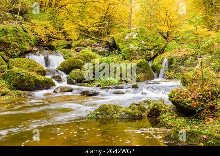 Pesenbachtal in autunno, alta Mühlviertel, Austria Foto Stock