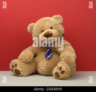 L'orso di Teddy in una cravatta si siede su uno sfondo rosso Foto Stock