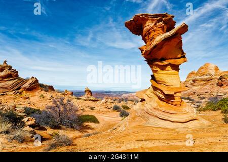 Formazioni rocciose di arenaria nel deserto, Coyote Buttes South, Paria Canyon Vermilion Cliffs Wilderness, Arizona, USA Foto Stock