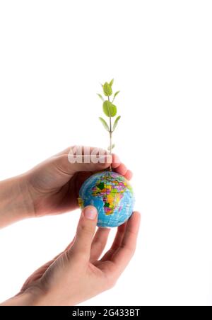 Mano che tiene albero sul globo Foto Stock