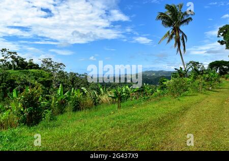 Godendo l'isola incantata di Puerto Rico Foto Stock