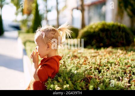 Un bambino in un abito di terracotta sta facendo uno spuntino nel parco in una giornata di sole Foto Stock