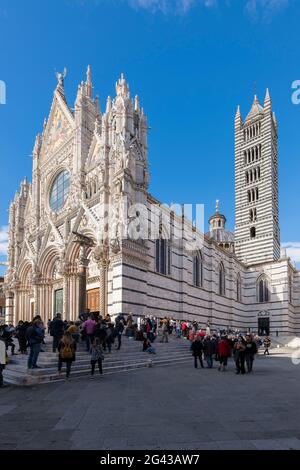 Cattedrale di Siena, Siena, Provincia di Siena, Toscana, Italia Foto Stock