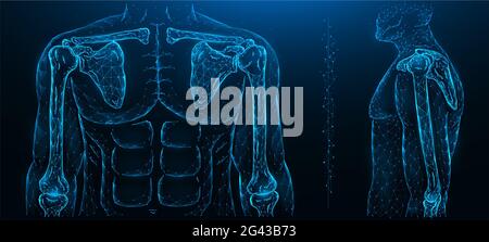 Illustrazione vettoriale poligonale di un modello umano, giunto di spalla e giunto a gomito. Sistema muscoloscheletrico umano Foto Stock